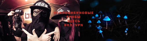 дживик Абинск