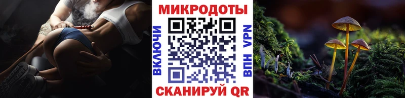 MEGA ССЫЛКА  Тотьма  Псилоцибиновые грибы Psilocybe 